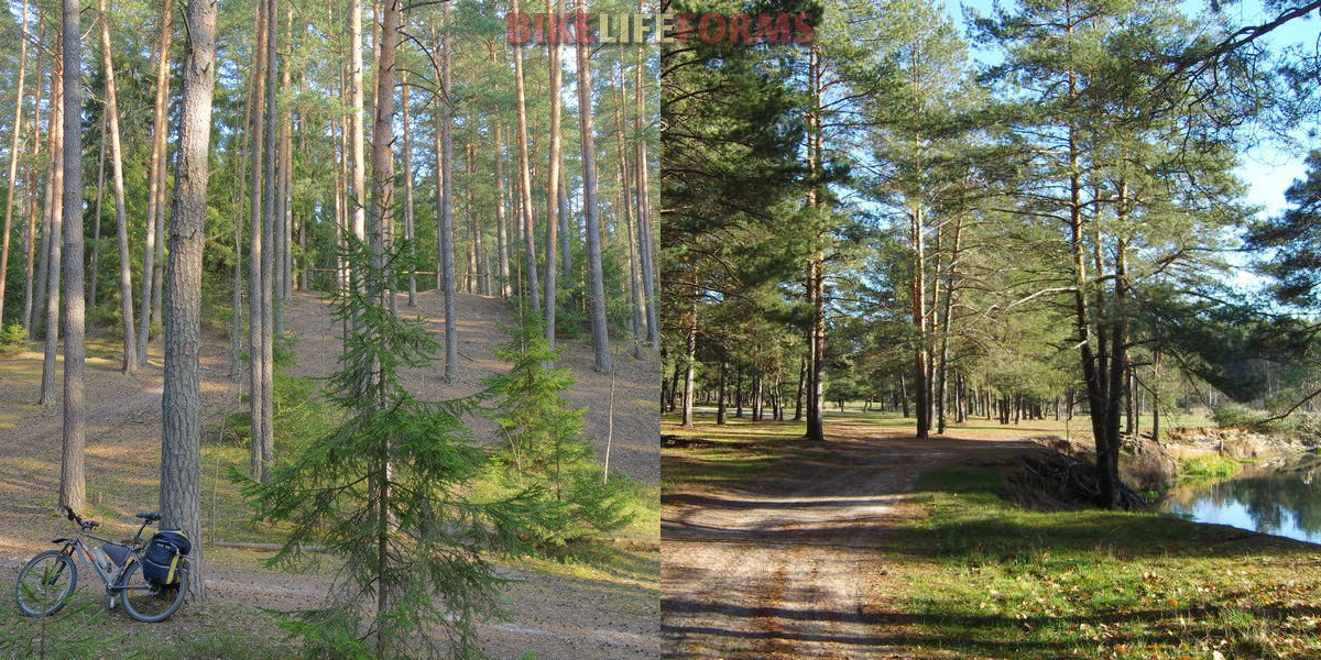 вело-маршрут река Нерская
