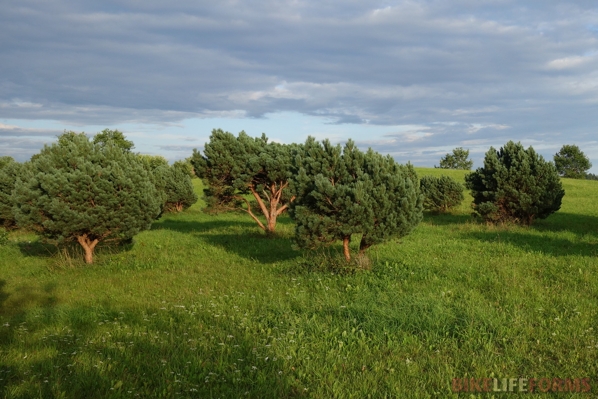 велопоход Ржев-Торопец-Себеж