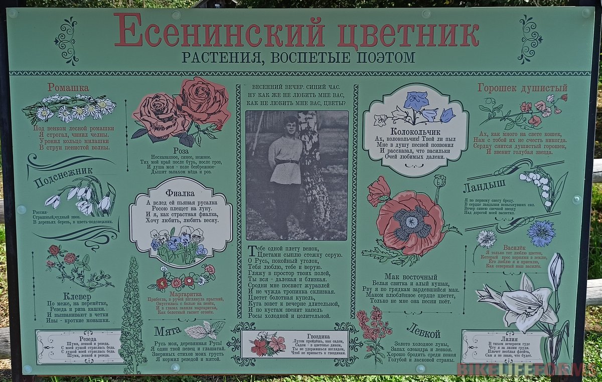 Не мог Есенин без бутылки. И пил, и пел, и воспевал. Музей народного кумира культурно собирает дань. А это всё – цветочки.